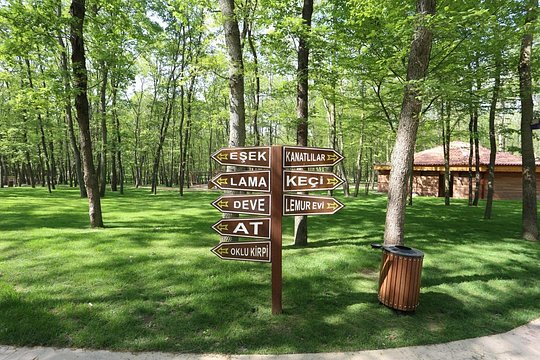 Tour image 5